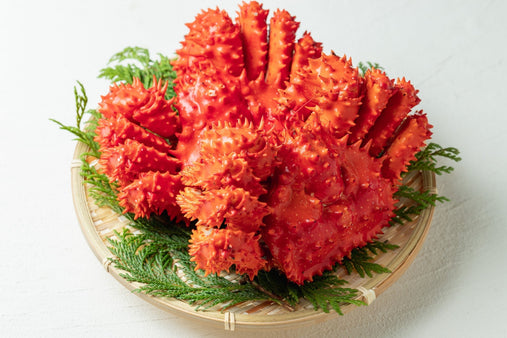 花咲ガニとは？根室だけの「幻のカニ」｜旬は夏の3か月だけ