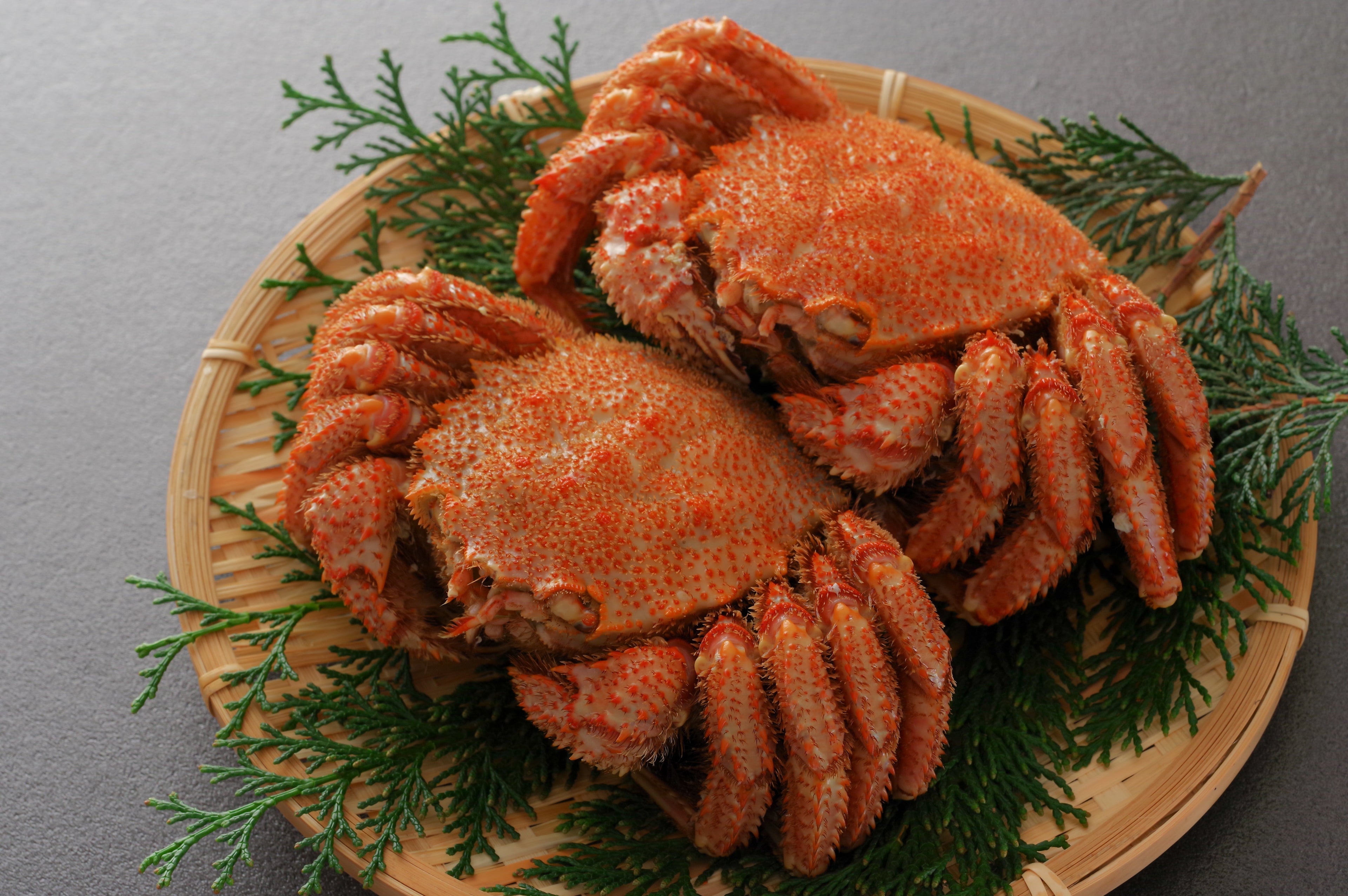 毛ガニの茹で方と食べ方｜プロが教える完全ガイド