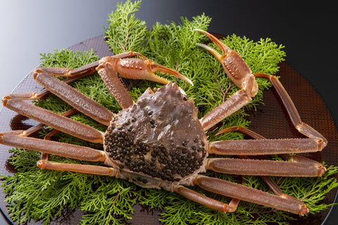 【超簡単】タラバガニとズワイガニの違いを徹底解説｜見分け方・味・値段・旬・おすすめの食べ方