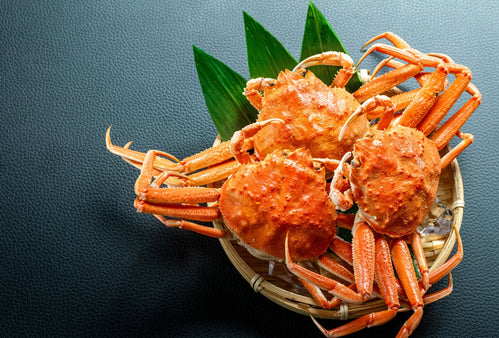 セコガニ（セイコガニ）とは？旬・特徴・食べ方を解説