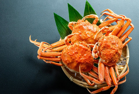 セコガニ（セイコガニ）とは？旬・特徴・食べ方を解説