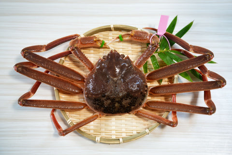 本ズワイガニと紅ズワイガニの違いとは？