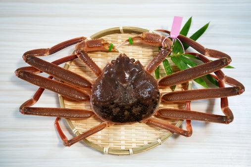 本ズワイガニと紅ズワイガニの違いとは？