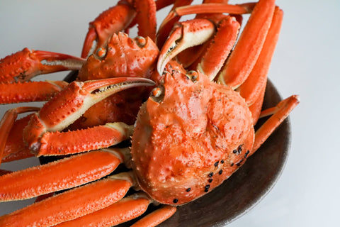 松葉ガニ・越前ガニ・加能ガニの違いは？ブランドガニ完全ガイド