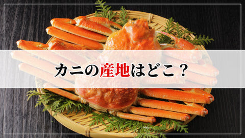 カニの産地はどこが有名？種類別の名産地と水揚げ量ランキング