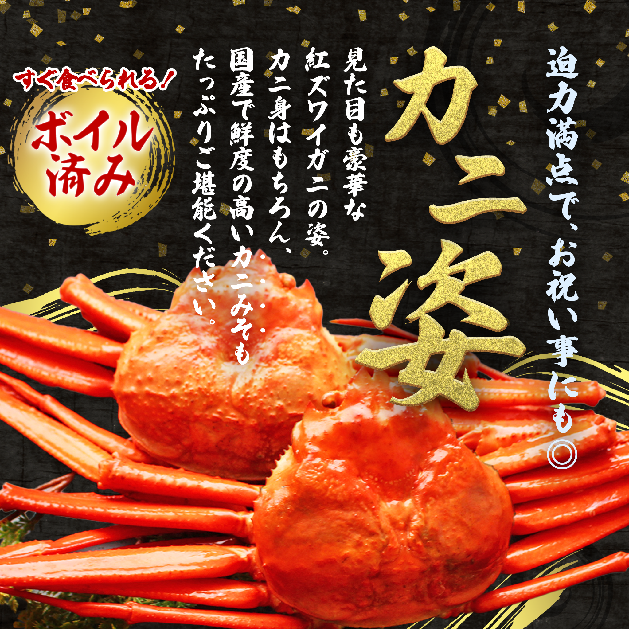 【北海道産】紅ズワイガニ姿2杯 1.0～1.3kg