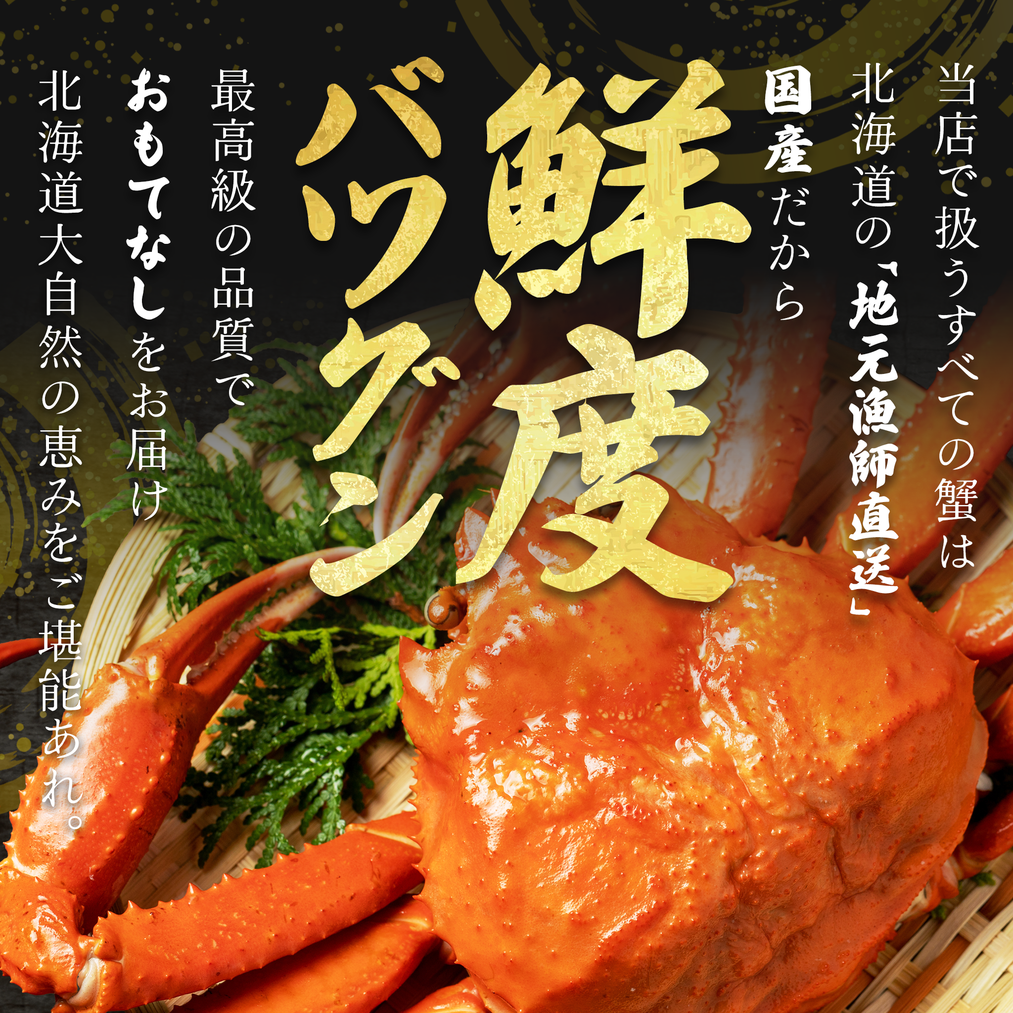 【北海道産】紅ズワイガニの脚肉しゃぶしゃぶセット500g