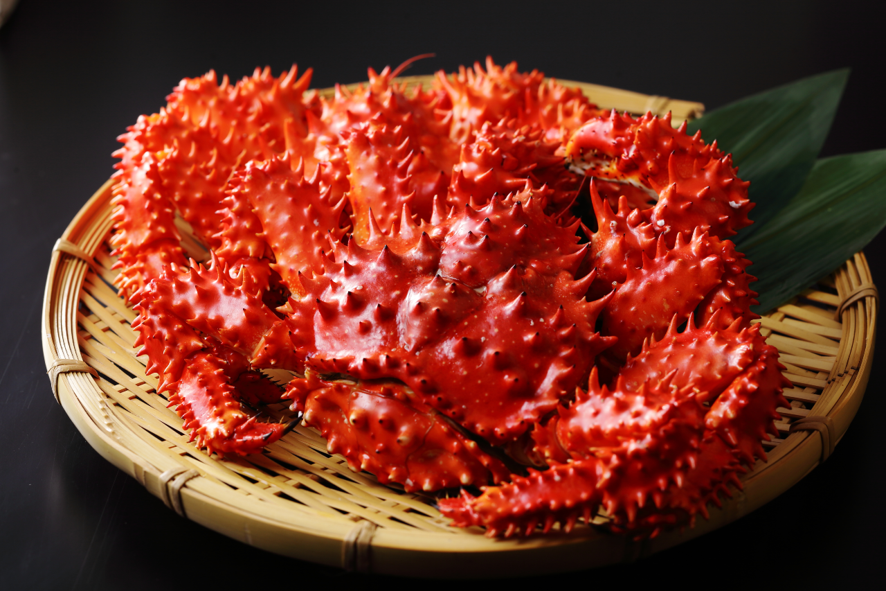 花咲ガニ 1.2kg~1.4kg