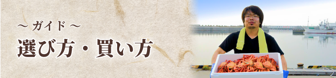 ガイド選び方・買い方