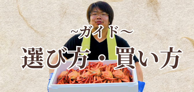 選び方・買い方ガイド