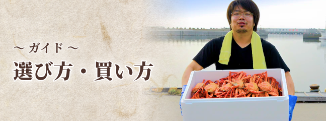 選び方・買い方選び方